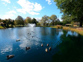 Beautiful landscape with lovely wooded views and duck pond